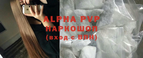 PSILOCYBIN Аркадак