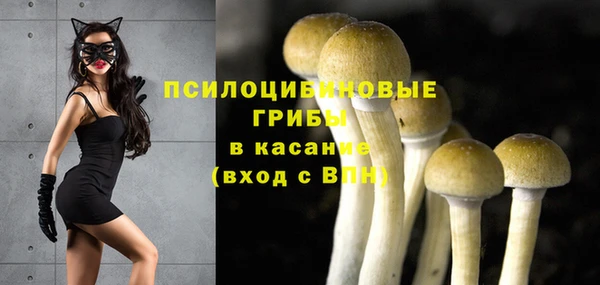 PSILOCYBIN Аркадак